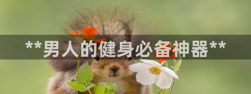 意昂体育3注册