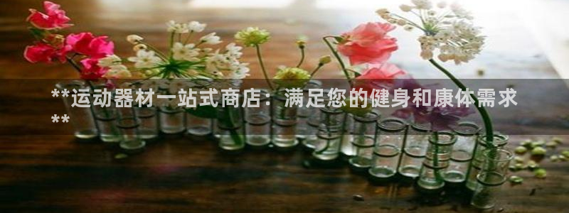 意昂3科技：**运动器材一站式商店：满足您的健身和康