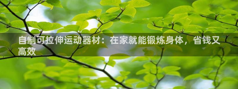 意昂3娱乐下载