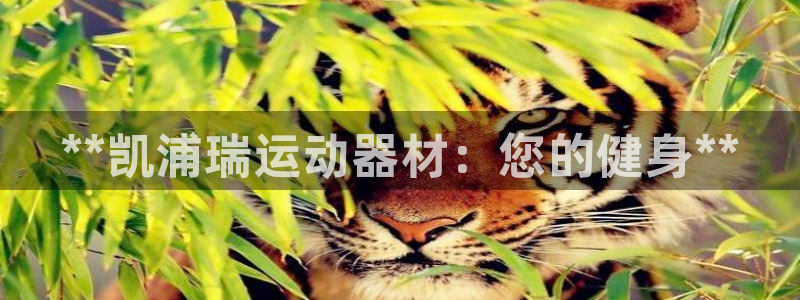 意昂体育3软件：**凯浦瑞运动器材：您的健身**