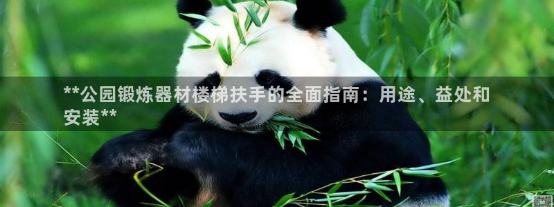 意昂体育3招商电话是多少啊：**公园锻炼器材楼梯扶手