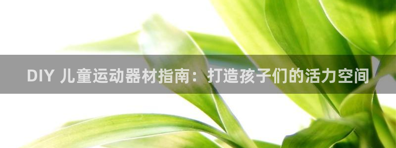 意昂体育3招商电话号码是多少啊：DIY 儿童运动器材