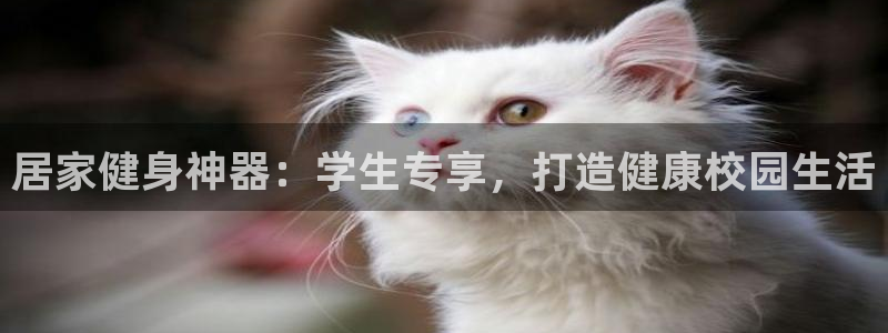 意昂体育3招商电话地址：居家健身神器：学生专享，打造