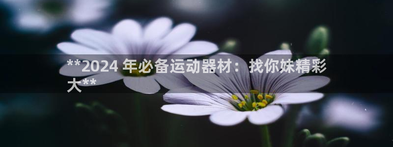 意昂体育3招商电话号码是多少：**2024 年必备运