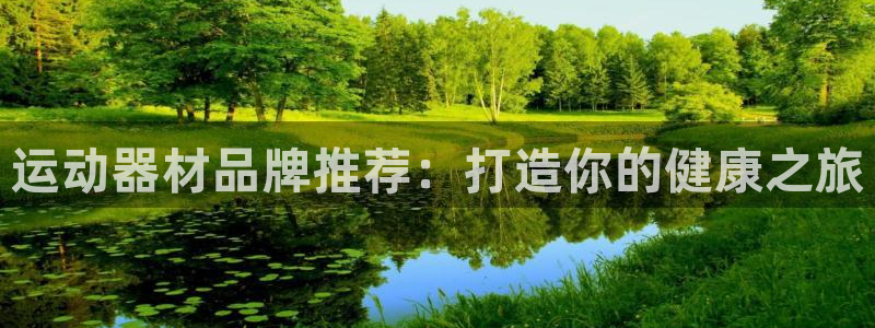 意昂体育3平台注册流程图：运动器材品牌推荐：打造你的