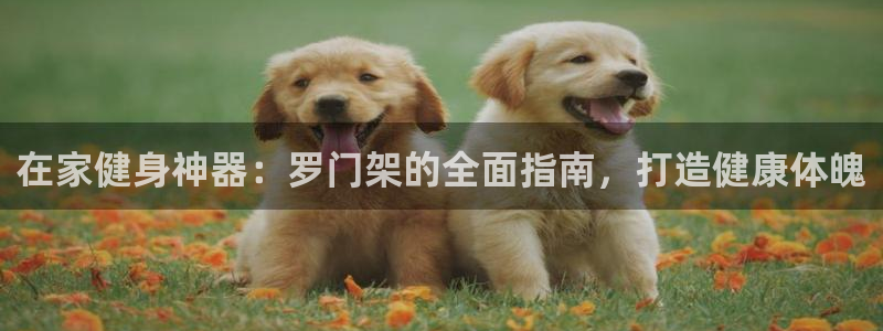 意昂3娱乐代理怎么样：在家健身神器：罗门架的全面指南