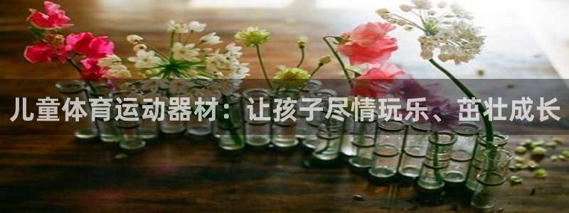 意昂体育3招商电话号码是多少：儿童体育运动器材：让孩