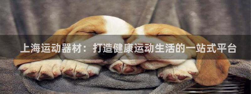 意昂体育3官方客服电话：  上海运动器材：打造健康运
