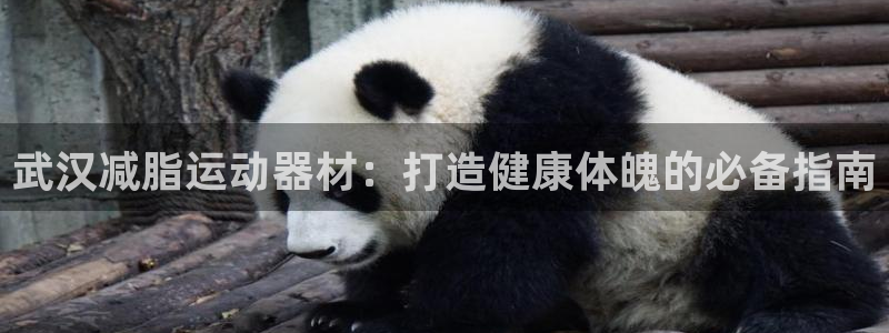 海南意昂体育3发展怎么样