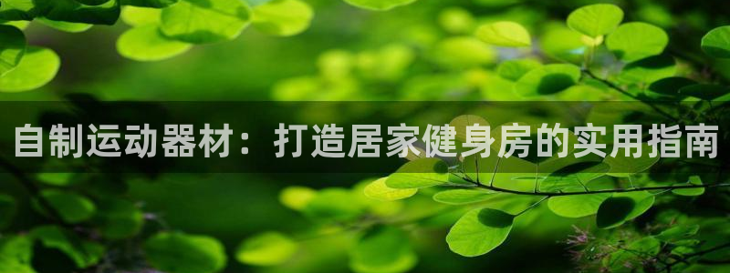 意昂3新能源：自制运动器材：打造居家健身房的实用指南