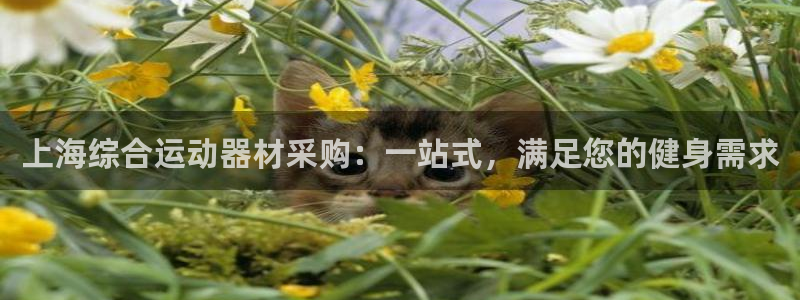 意昂体育3招商电话号码：上海综合运动器材采购：一站式