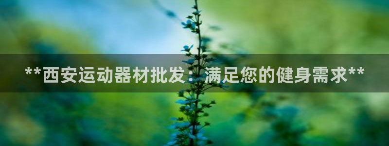 注册意昂3：**西安运动器材批发：满足您的健身需求*