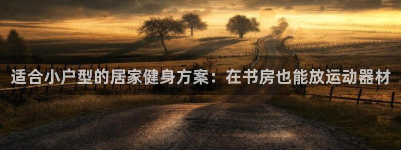 意昂3娱乐下载：适合小户型的居家健身方案：在书房也能