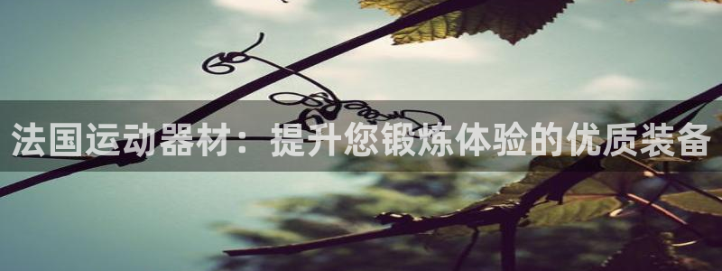 意昂体育3软件：法国运动器材：提升您锻炼体验的优质装