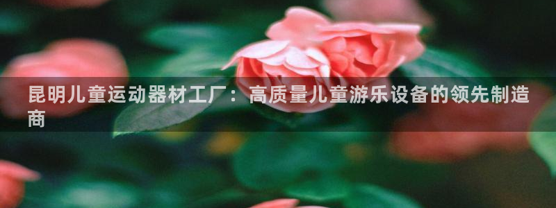 意昂体育3联系电话：昆明儿童运动器材工厂：高质量儿童游乐设备
