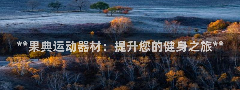 意昂3集团官网首页：**果典运动器材：提升您的健身之旅**