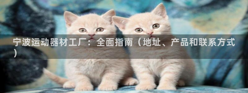 意昂体育3招商电话地址是多少：宁波运动器材工厂：全面