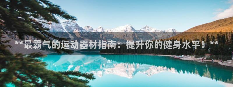 德国意昂3集团：**最霸气的运动器材指南：提升你的健身水平！