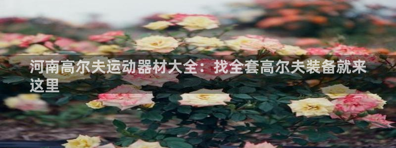 意昂体育3平台APP：河南高尔夫运动器材大全：找全套高尔夫装