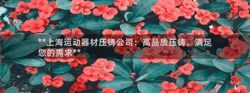 意昂体育3平台假的吗是真的吗吗：**上海运动器材压铸公司：高