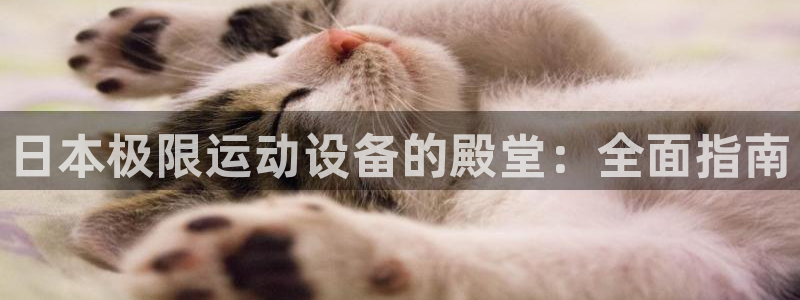 意昂3集团简介：日本极限运动设备的殿堂：全面指南