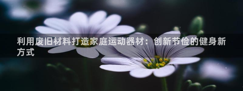 意昂3娱乐代理怎么样：利用废旧材料打造家庭运动器材：