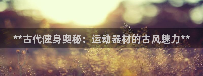 意昂体育3开户：**古代健身奥秘：运动器材的古风魅力