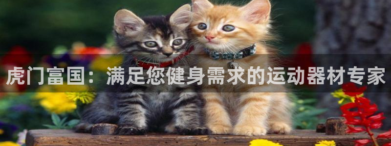 意昂体育3注册：虎门富国：满足您健身需求的运动器材专