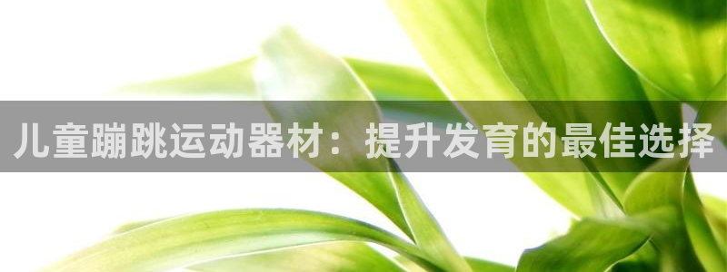 意昂3官网：儿童蹦跳运动器材：提升发育的最佳选择