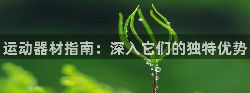 意昂体育3招商电话号码是多少：运动器材指南：深入它们