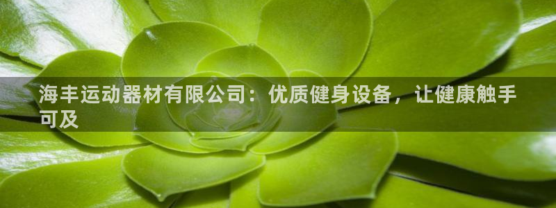 意昂体育3官方客服电话：海丰运动器材有限公司：优质健