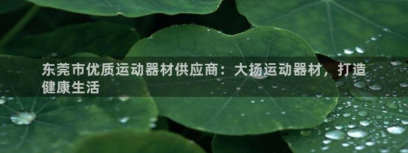 意昂体育3招商电话号码是多少号：东莞市优质运动器材供