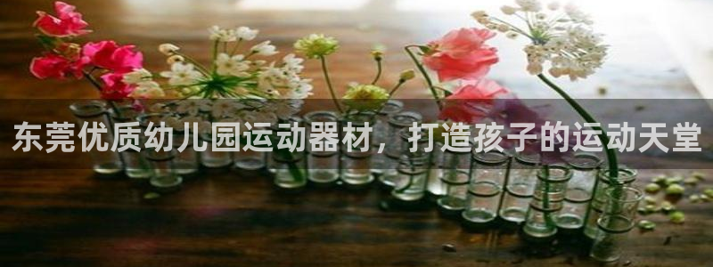 意昂体育3娱乐：东莞优质幼儿园运动器材，打造孩子的运