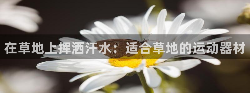 意昂体育3开户：在草地上挥洒汗水：适合草地的运动器材