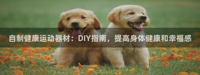 意昂3娱乐平台：自制健康运动器材：DIY指南，提高身