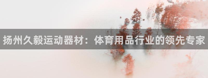 意昂体育3平台APP：扬州久毅运动器材：体育用品行业