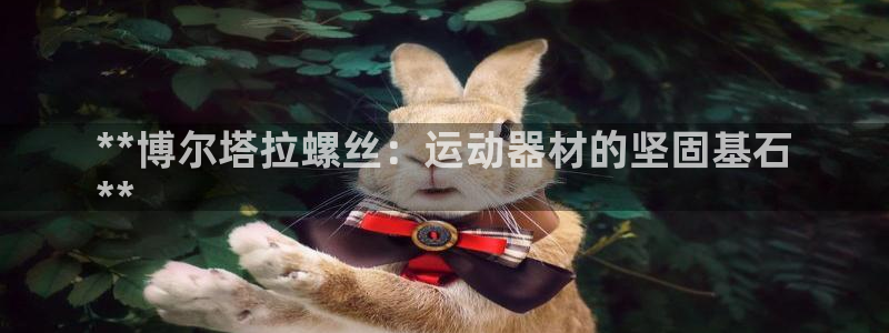 意昂3集团E.ON：**博尔塔拉螺丝：运动器材的坚固基石
*