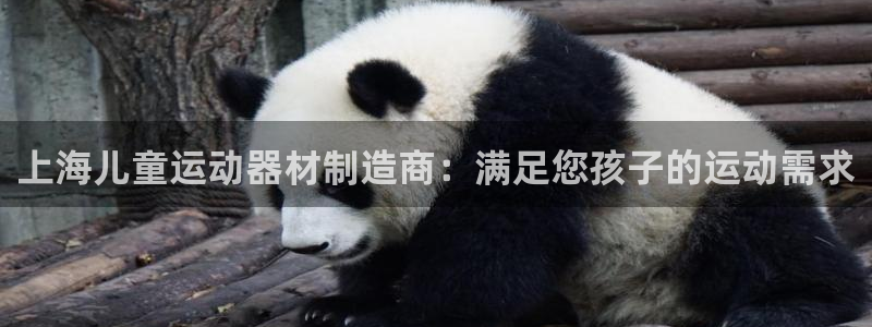德国意昂3集团：上海儿童运动器材制造商：满足您孩子的