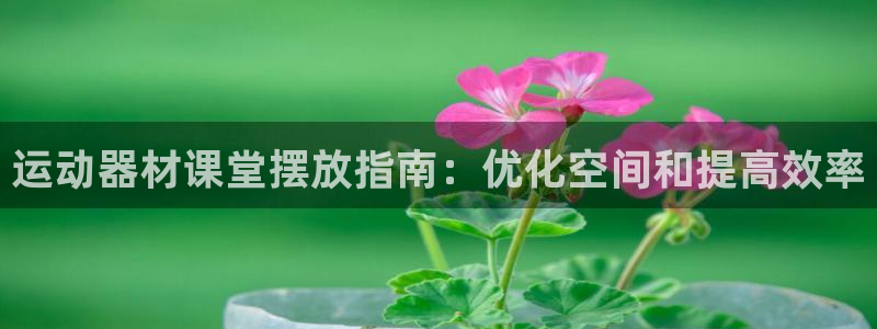 意昂体育3平台注册：运动器材课堂摆放指南：优化空间和