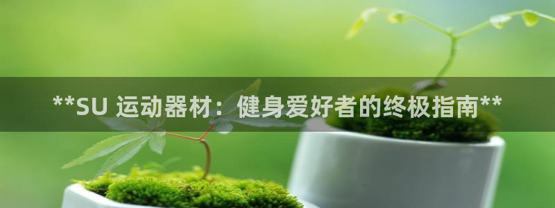 意昂3集团官网首页网址：**SU 运动器材：健身爱好者的终极