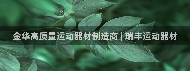 意昂体育3娱乐：金华高质量运动器材制造商 | 瑞丰运