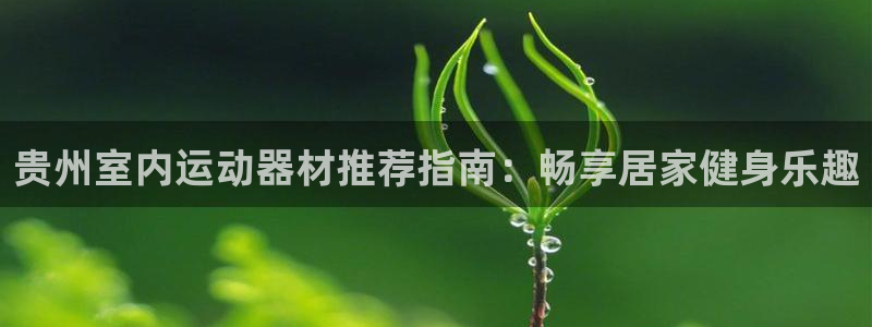 意昂3娱乐网站：贵州室内运动器材推荐指南：畅享居家健