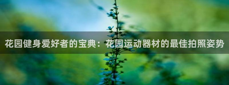 意昂3官方：花园健身爱好者的宝典：花园运动器材的最佳