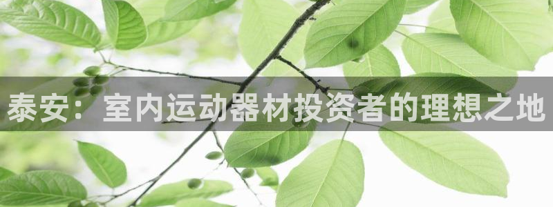 注册意昂3：泰安：室内运动器材投资者的理想之地