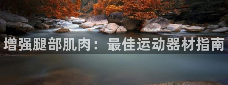 意昂体育3联系电话：增强腿部肌肉：最佳运动器材指南