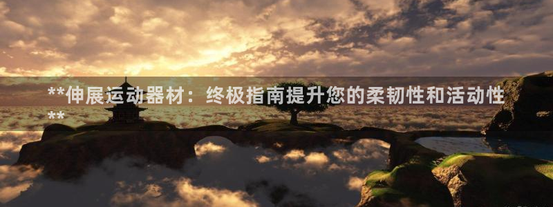意昂体育3平台：**伸展运动器材：终极指南提升您的柔