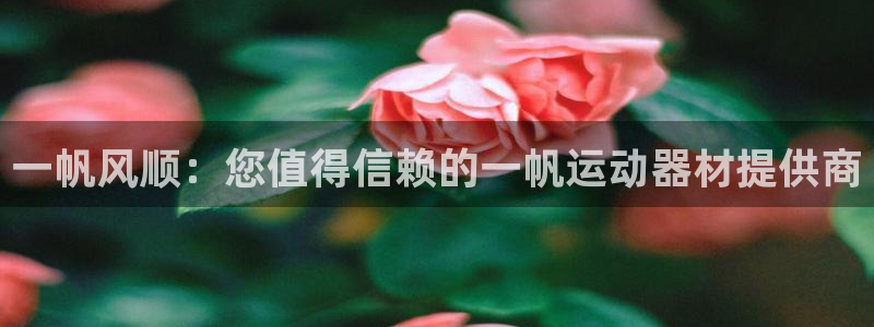 意昂3集团简介：一帆风顺：您值得信赖的一帆运动器材提供商