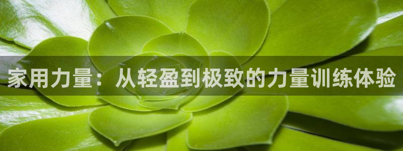 意昂集团官网