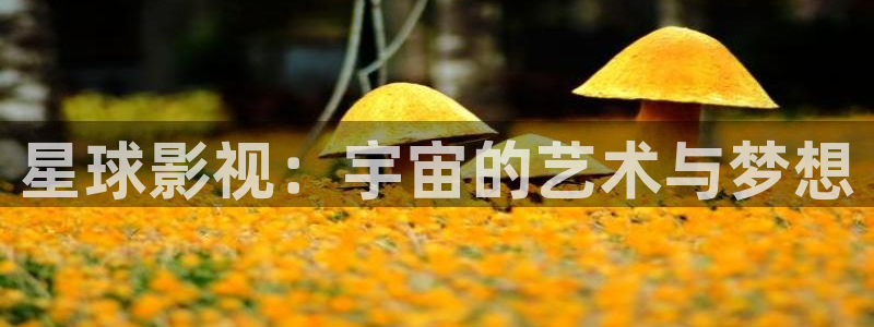 樱桃视频app免费次数