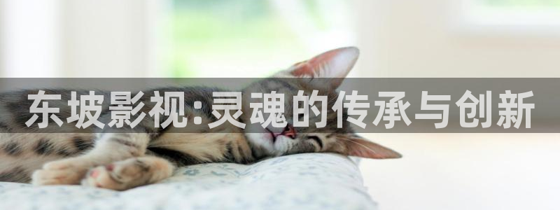 樱桃视频下载ios
